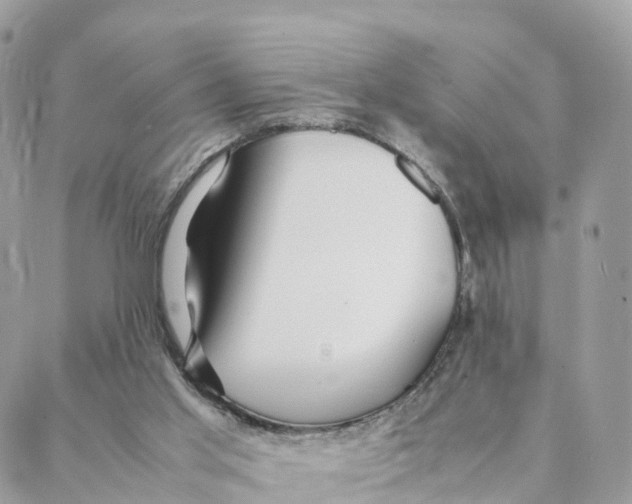 X0000088090013200706011615