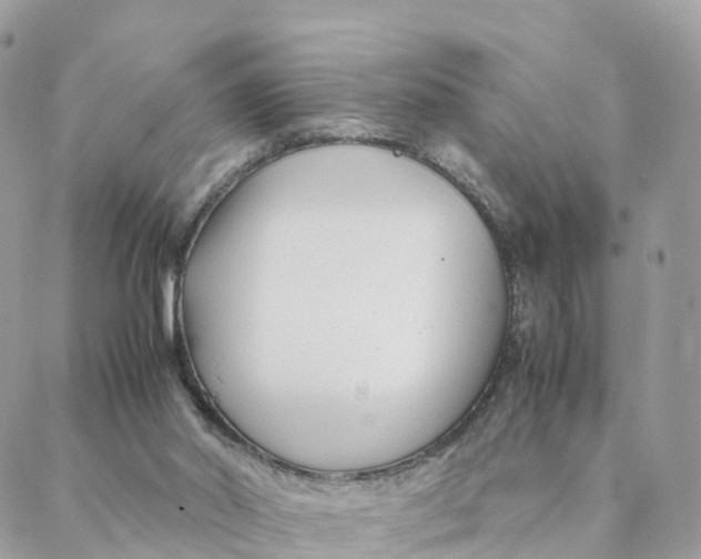 X0000088090014200706011615