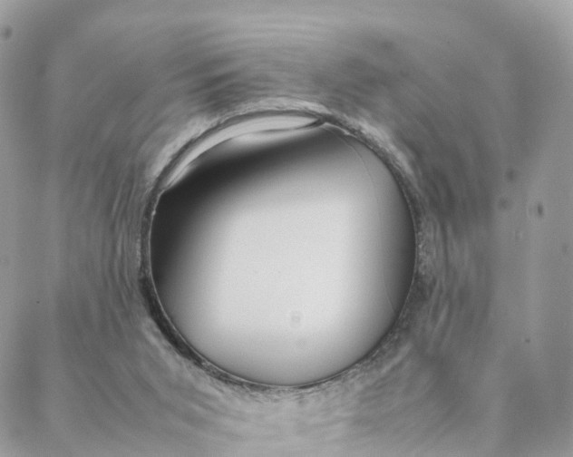 X0000088090015200706011615