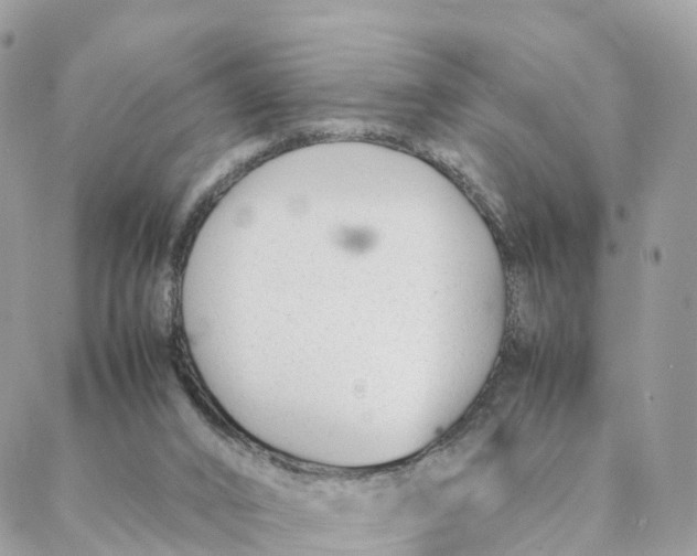 X0000088090016200706011615