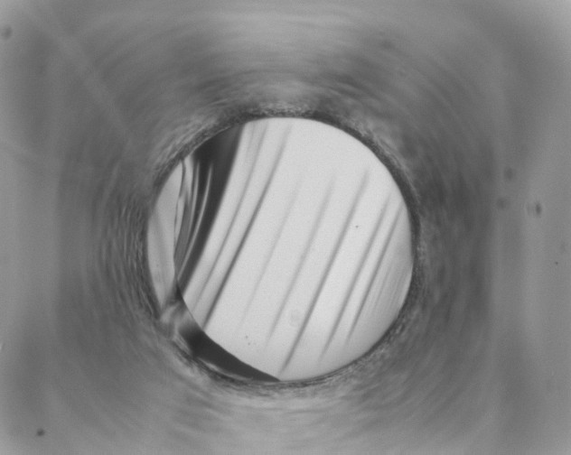 X0000088090017200706011615