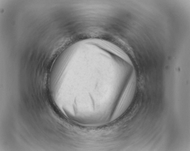 X0000088090018200706011615