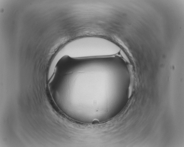 X0000088090019200706011615