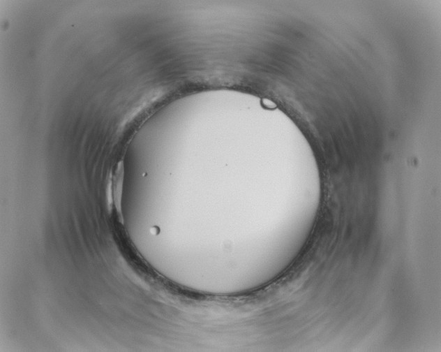 X0000088090020200706011615