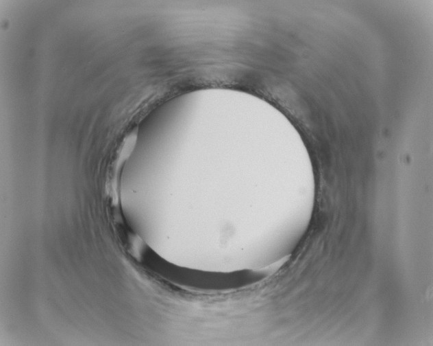 X0000088090021200706011615