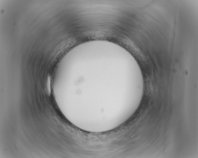 X0000088090022200706011615