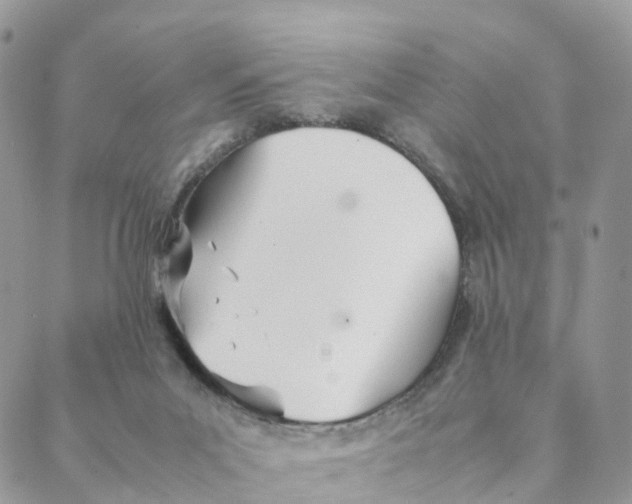 X0000088090023200706011615