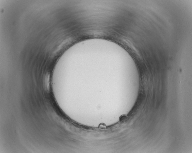 X0000088090024200706011615