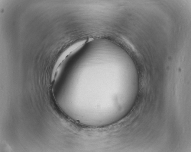 X0000088090025200706011615