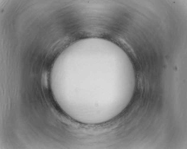 X0000088090026200706011615