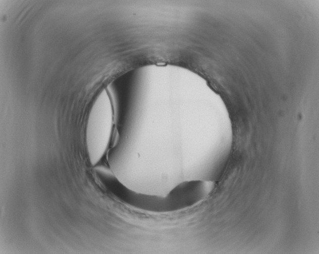 X0000088090027200706011615