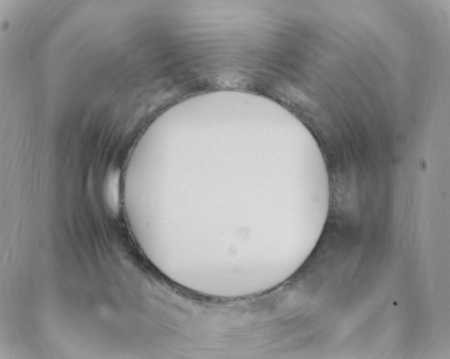 X0000088090028200706011615