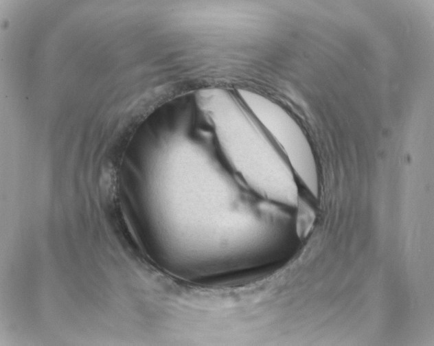 X0000088090029200706011615