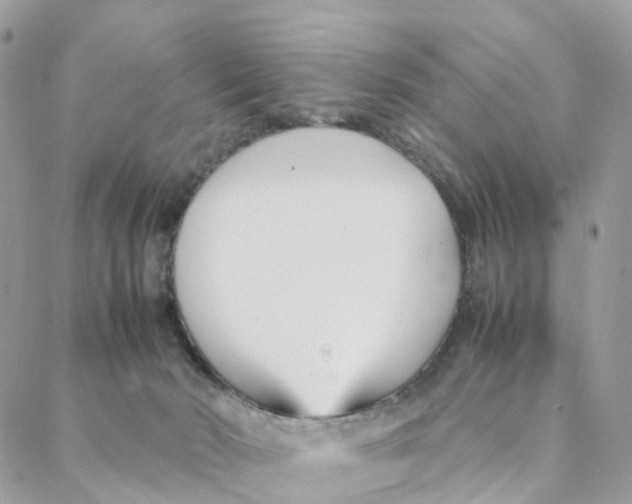 X0000088090030200706011615