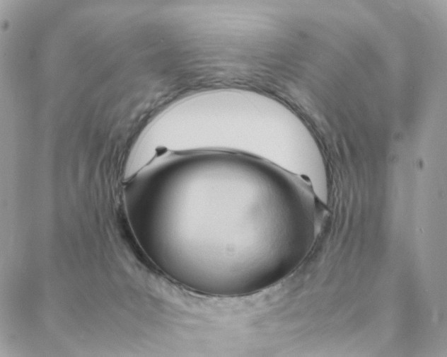 X0000088090031200706011615