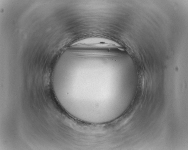 X0000088090032200706011615