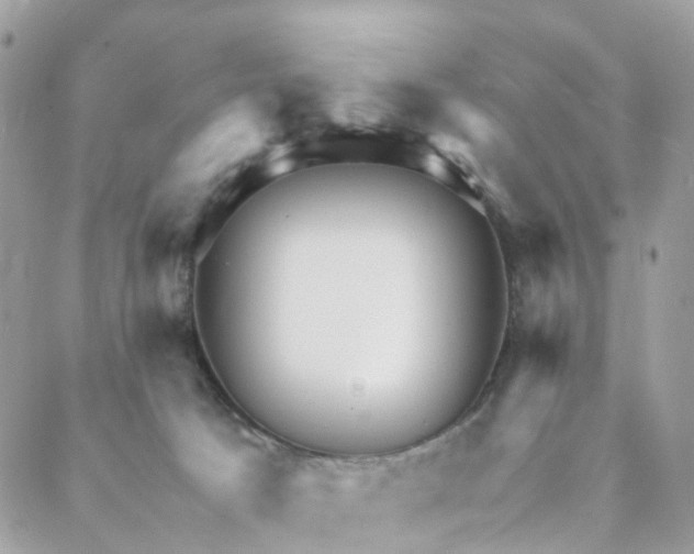 X0000088090033200706011615