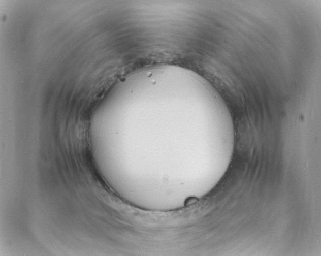 X0000088090034200706011615