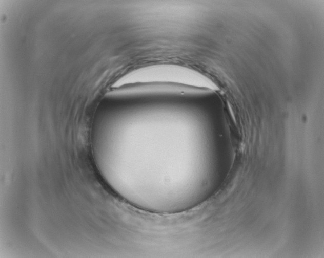 X0000088090035200706011615