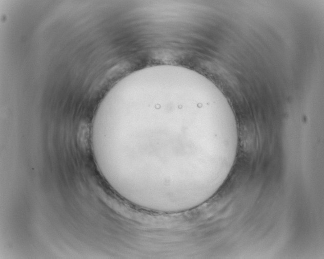 X0000088090036200706011615