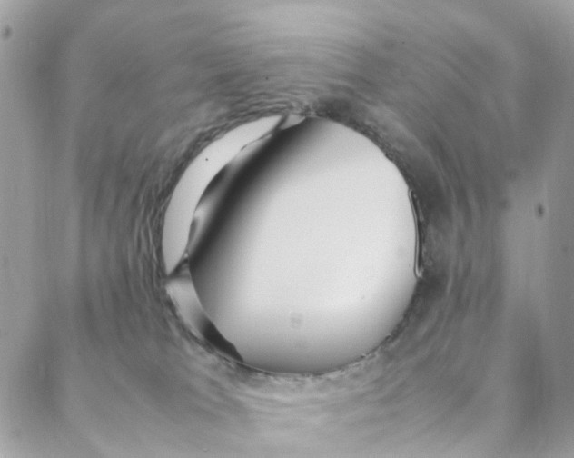 X0000088090037200706011615