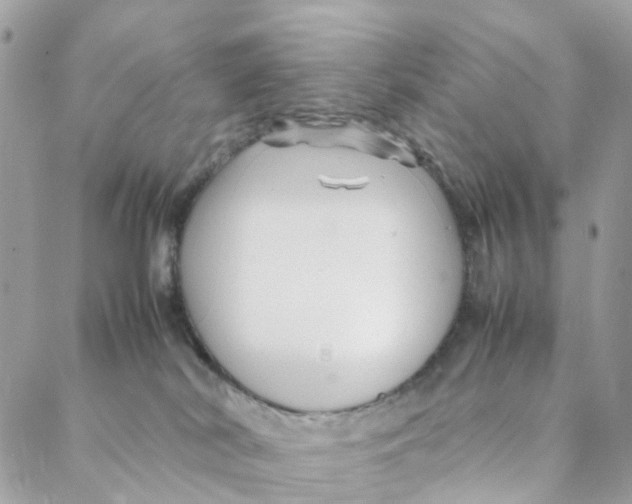 X0000088090038200706011615