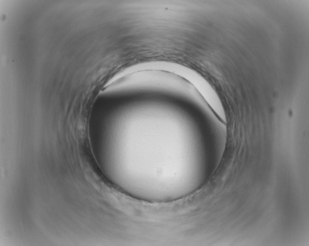 X0000088090039200706011615