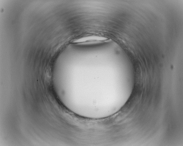 X0000088090040200706011615