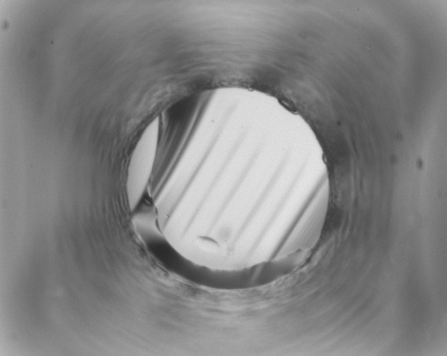 X0000088090041200706011615