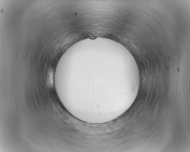 X0000088090042200706011615