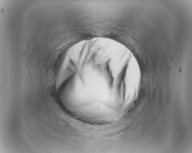 X0000088090043200706011615