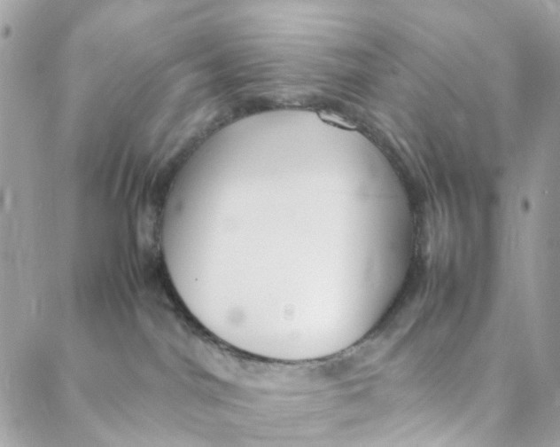 X0000088090044200706011615