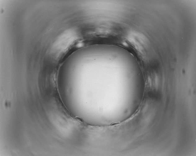 X0000088090045200706011615