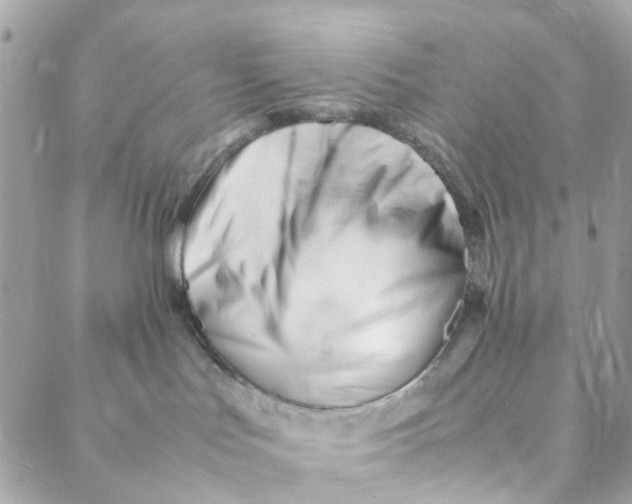 X0000088090047200706011615