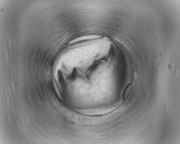 X0000088090048200706011615