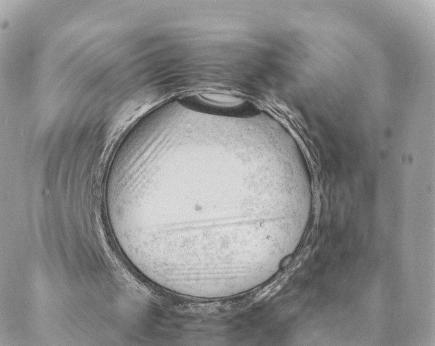 X0000088090049200706011614