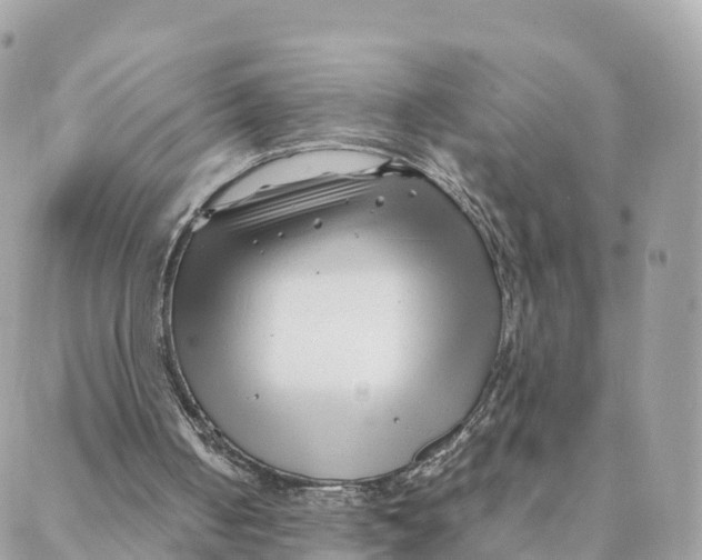 X0000088090050200706011614