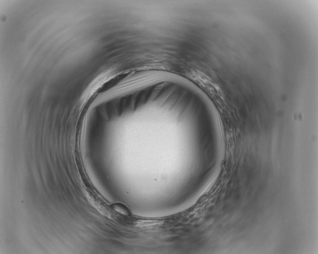 X0000088090051200706011614