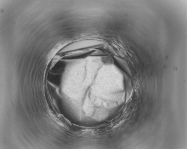 X0000088090052200706011614