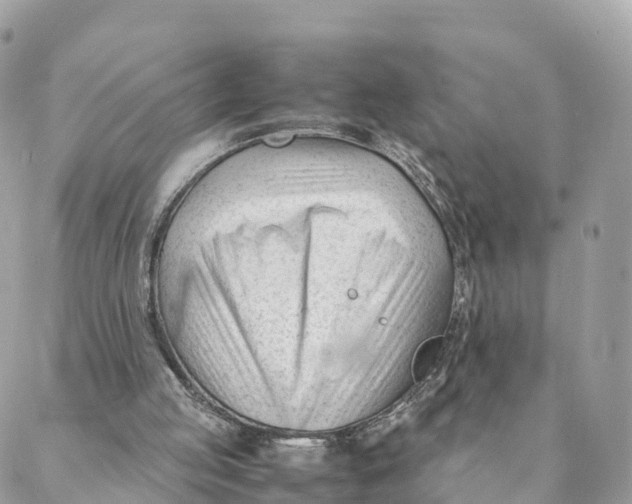 X0000088090053200706011614