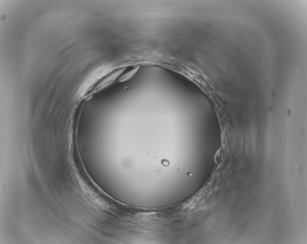 X0000088090054200706011614