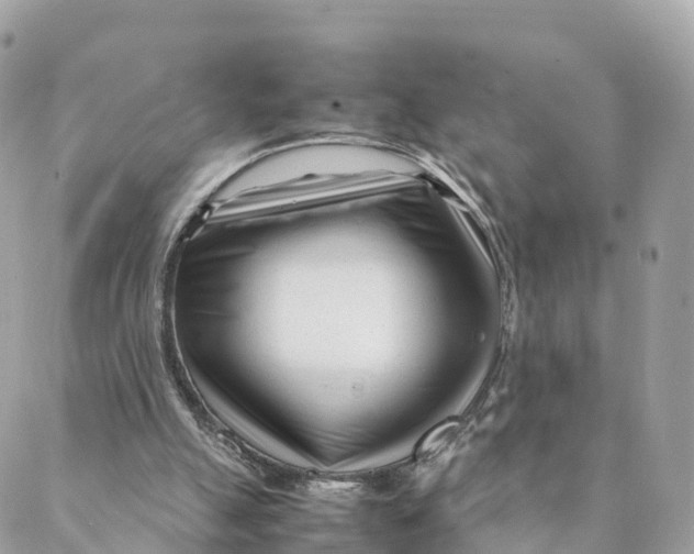 X0000088090055200706011614