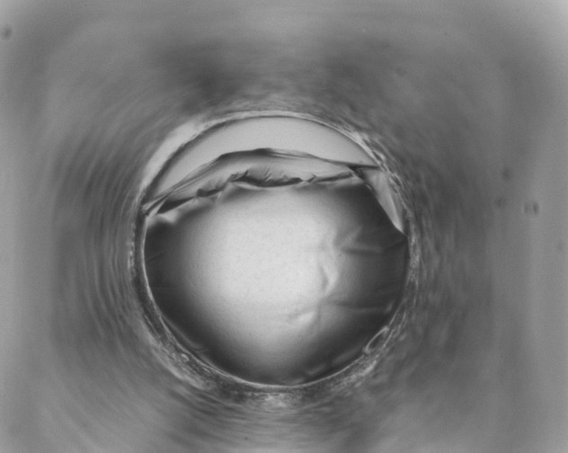 X0000088090056200706011614