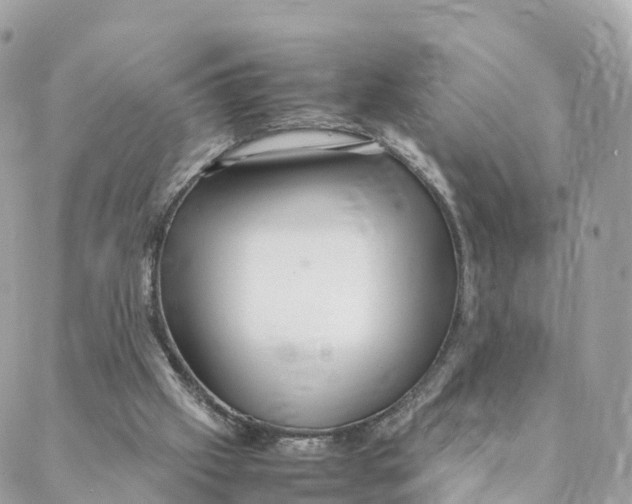 X0000088090057200706011614