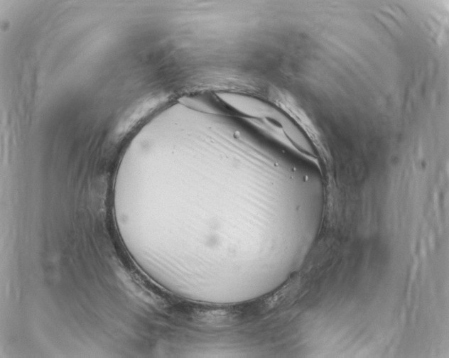 X0000088090058200706011614