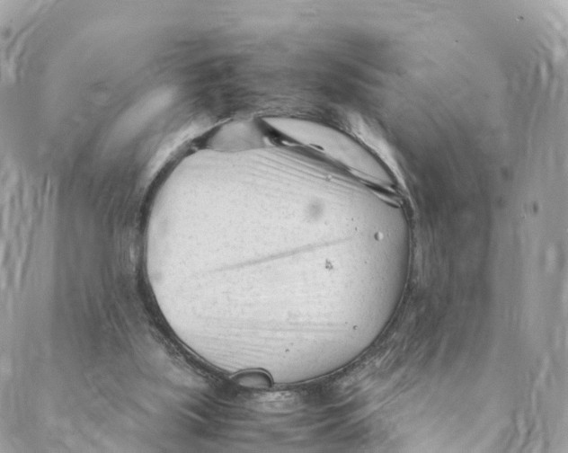 X0000088090059200706011614