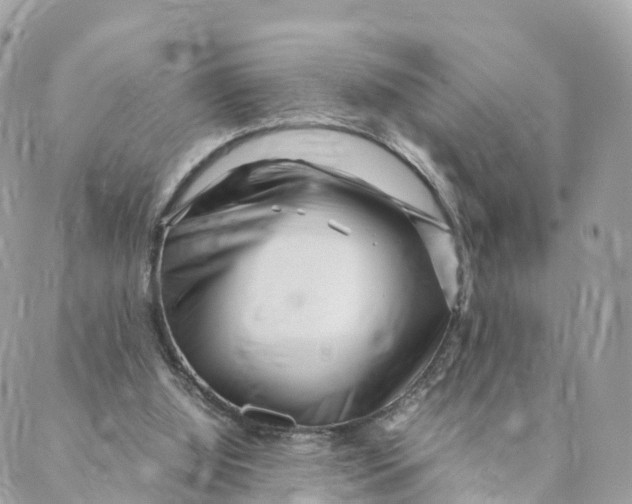 X0000088090060200706011614