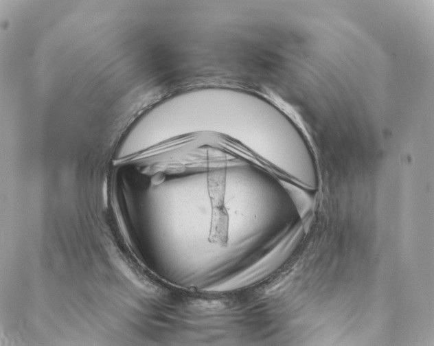 X0000088090061200706011614