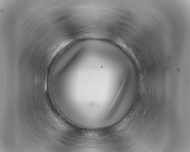 X0000088090062200706011614