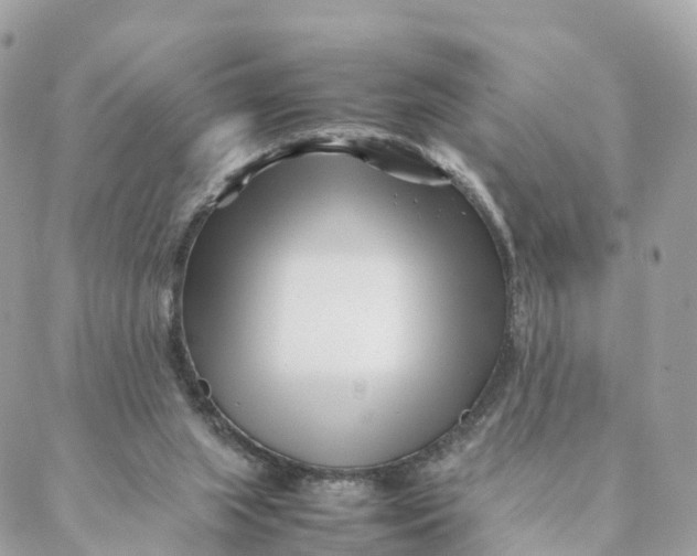 X0000088090063200706011614